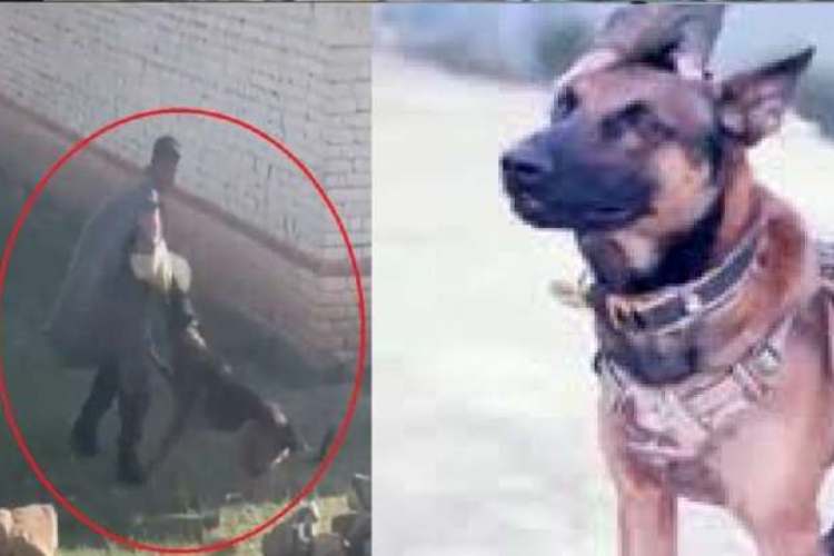 'Zoom' played a valiant role in the anti-terror operation on October 9