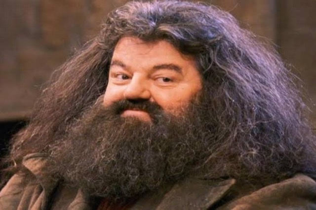 'Harry Potter' Actor Robbie Coltrane's Cause Of Death Revealed