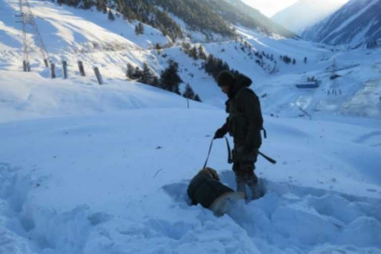 Army personnel during the avalanche rescue mission