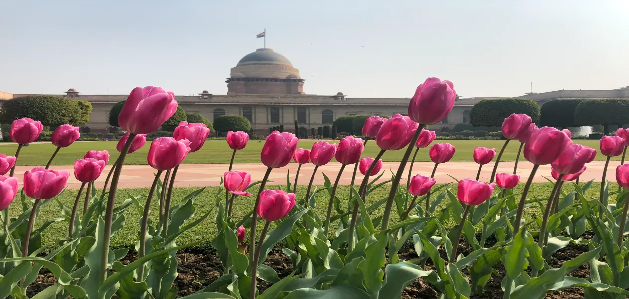  Mughal Gardens