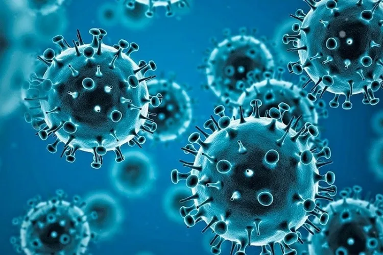 The Covid virus