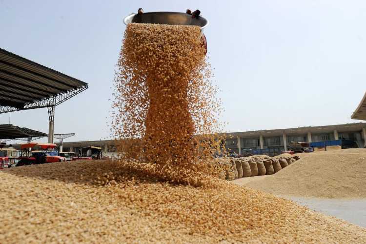 Wheat and Rice sale under open market scheme has been discontinued to curb price rise