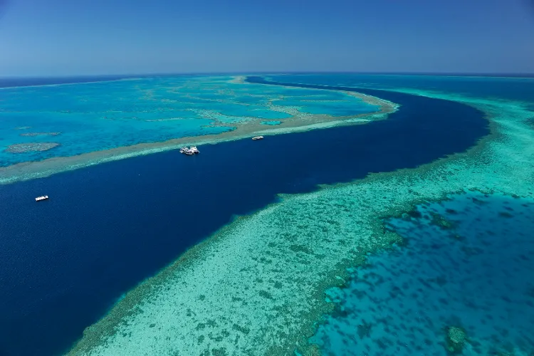 The impacts of climate change on the Great Barrier Reef could become irreversible within decades