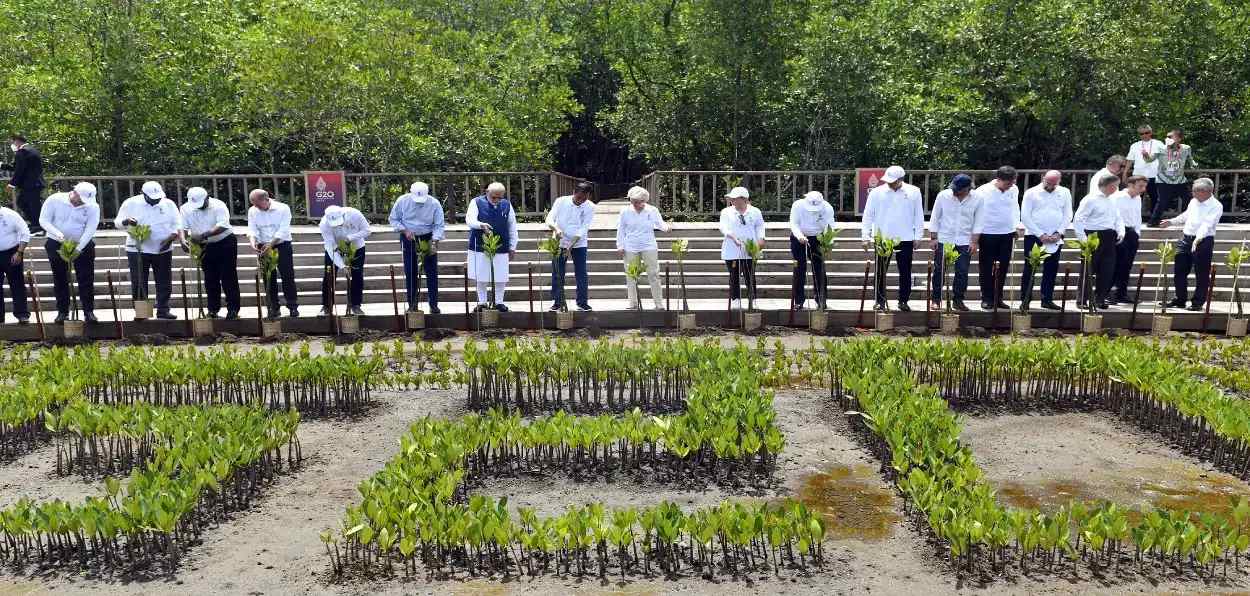 Prime Minister Narendra Modi and other G-20 leaders at mangrove forest in Bali, Indonesia