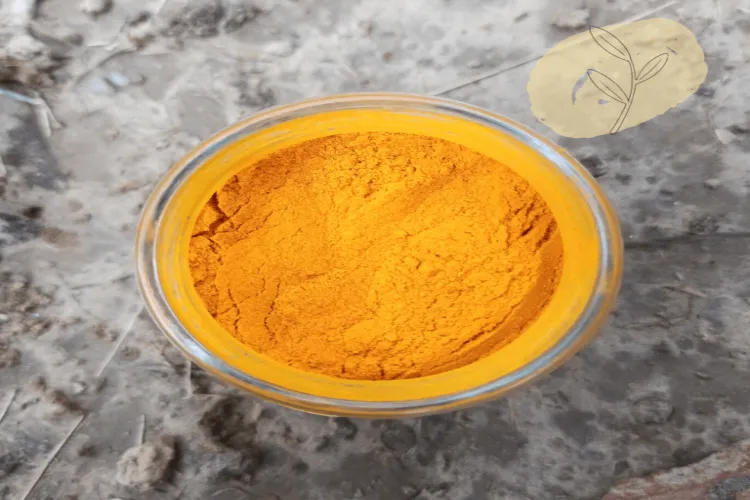 Meghalaya's Lakadong turmeric