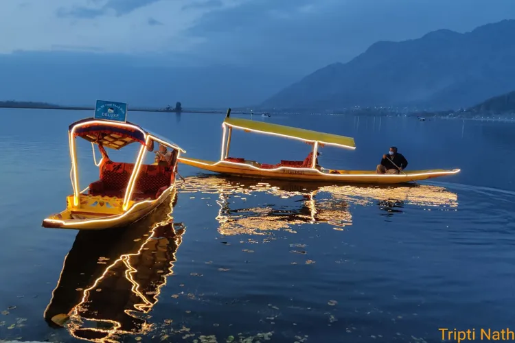 A view of the world famous Dal Lake after sunset