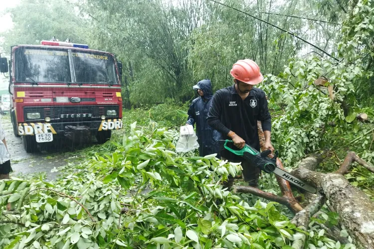 Rerscue staff engaged in clearing the devastation left by Cyclone Remal in Assam