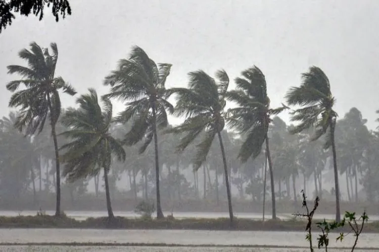 Kerala experiences widespread pre-monsoon rains