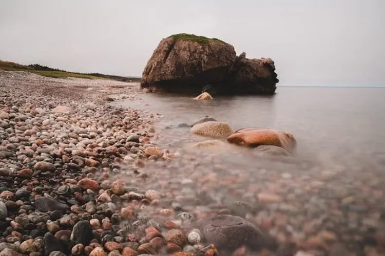 The sea level played an important role in shaping the early creatures
