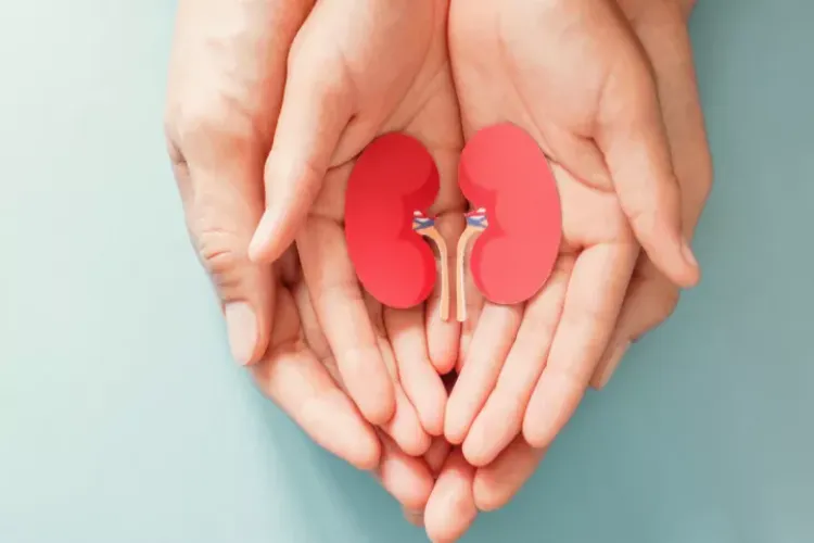 The Union Health Ministry urges people to adopt organ donation as a way of life