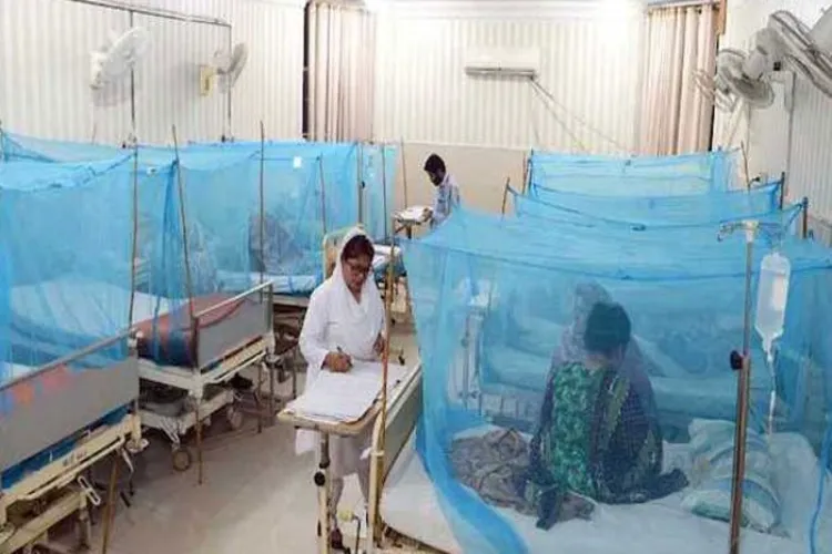 Number of Dengue patients increasing in Pakistan