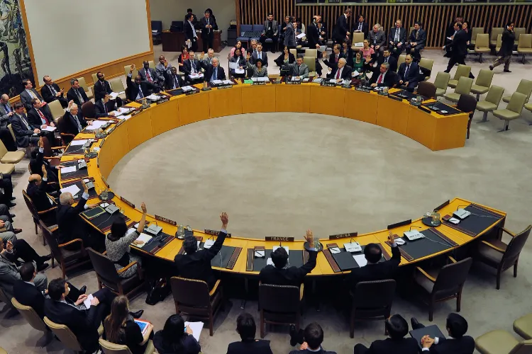 United Nations Security Council (UNSC)