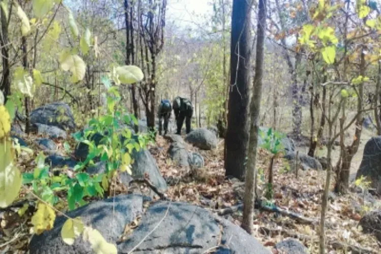 Security Force in a Naxal-affected jungle