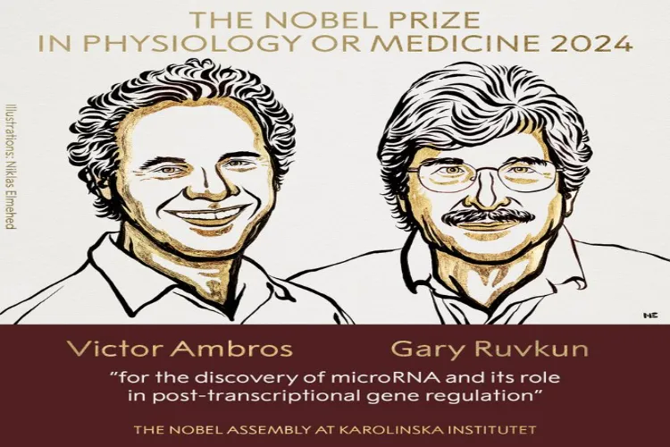 Nobel Prize for Medicine awarded to US scientists Victor Ambros, Gary