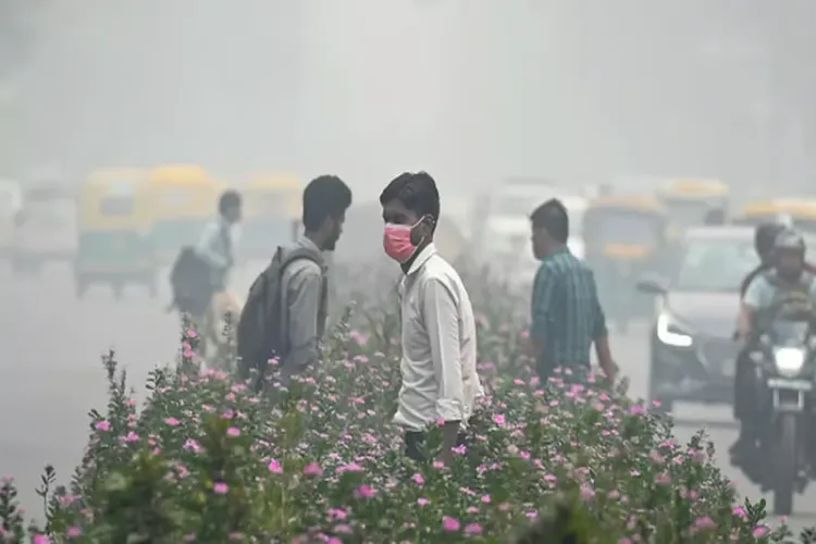 Smog in Delhi (File)