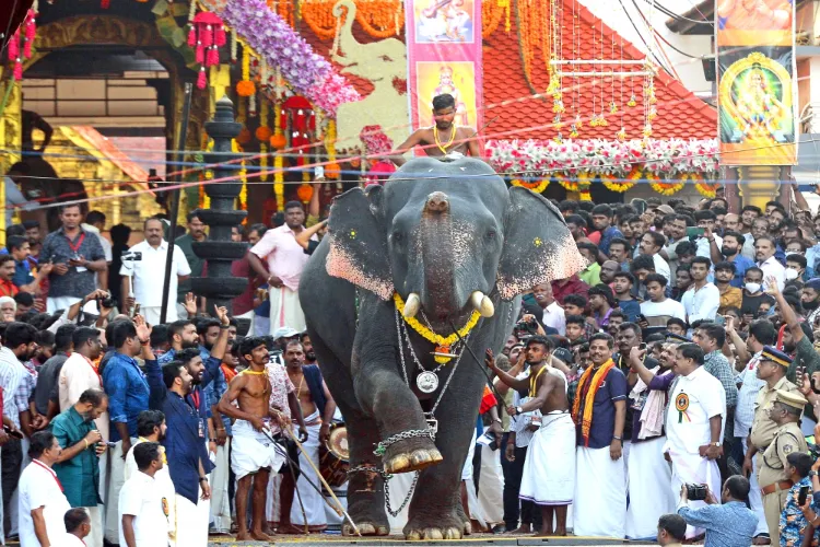 An elephant at a religious festival in Kerala