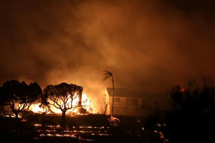 Los Angeles wildfire