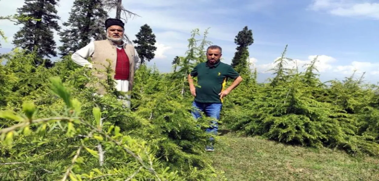 Abdul Hamid Bhat, known as tree man of Kashmir, who has planted over two lakh trees and is working towards a target of 10 lakh trees by 2030