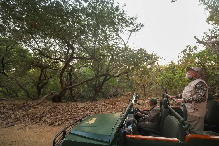 Prime Minister Narendra Modi explores Lion Safari at Gir National Park in Gir Somnath, Gujarat