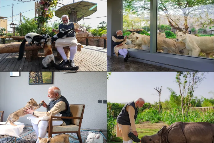 PM Modi’s love for animals goes back a long way, and they love him back