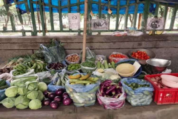 India's retail inflation eases to 7-month low of 3.6 per cent in February