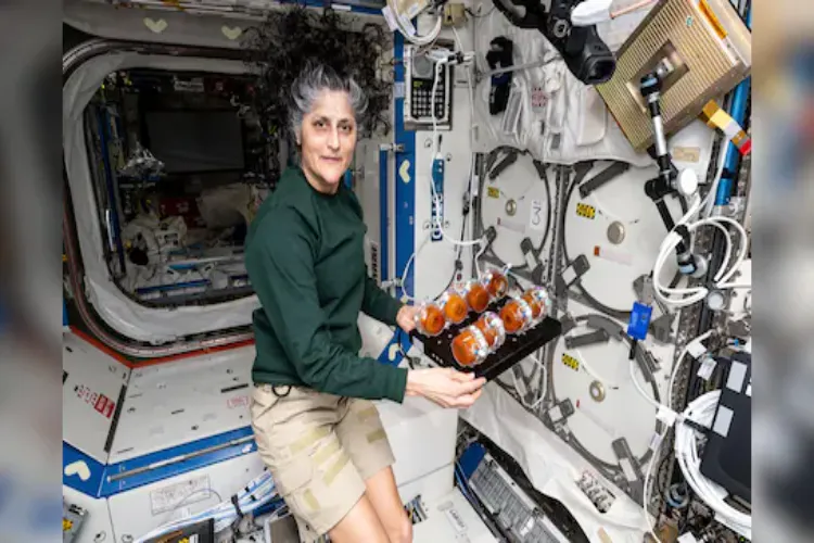 NASA astronaut Sunita Williams inside the space station