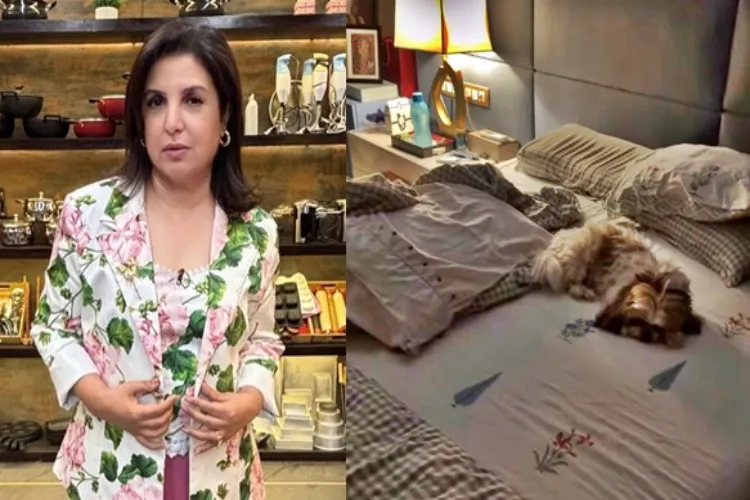 Film maker Farah Khan with her dogs